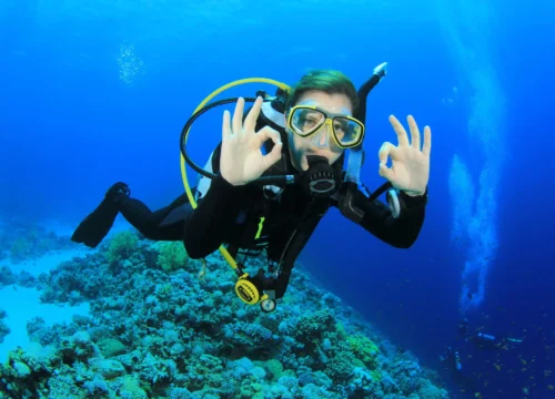 Nurkowanie ze sprzętem (Scuba Diving)