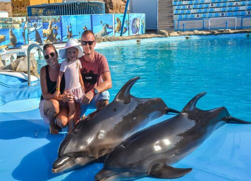 Przedstawienie delfinów