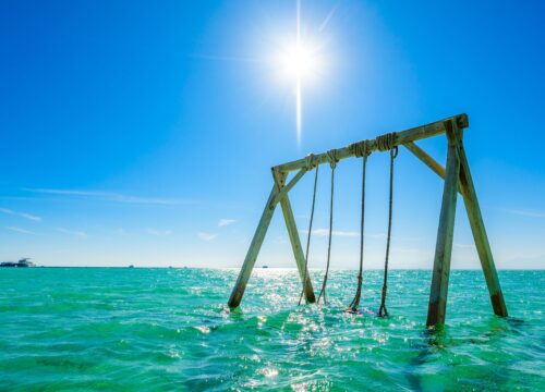 Luksusowy rejs na Orange Bay z lunchem