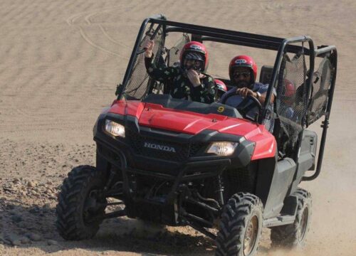 Prywatne rodzinne safari buggy