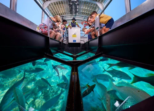 Wycieczka Łodzią ze Szklanym Dnem w Sharm