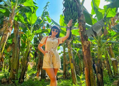 Luxor z Marsa Alam + Wyspa Banana