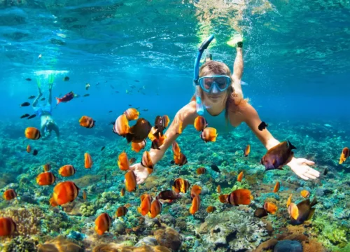 Snorkeling w Hurghadzie – odkryj rafy Morza Czerwonego