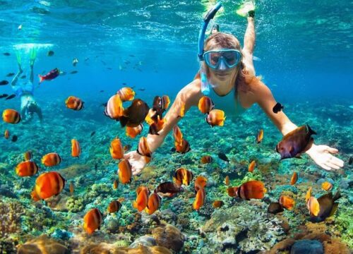 Snorkeling w Egipcie – najlepsze miejsca do odkrywania podwodnego świata Morza Czerwonego